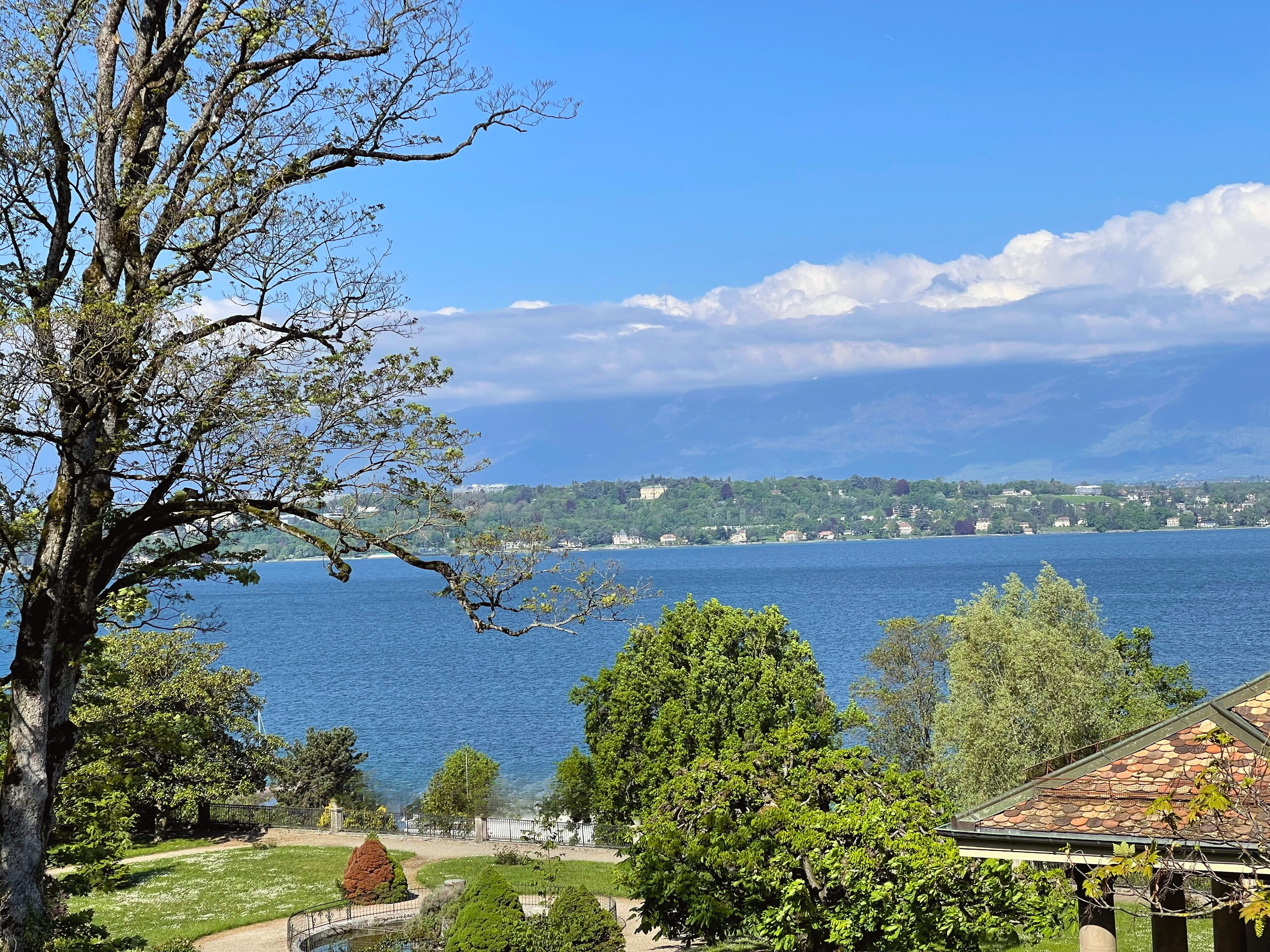 a12d8adb9d974a4390200982d178e6ca