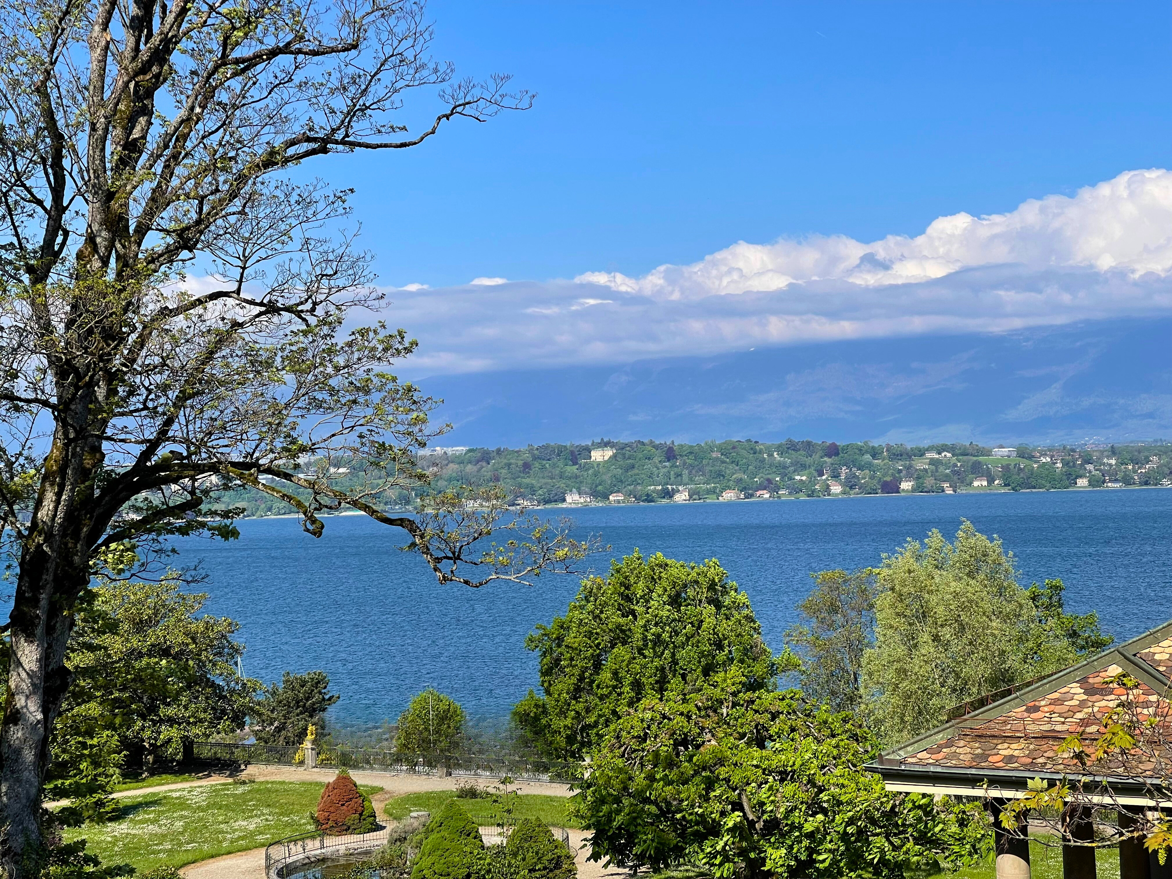 3dd8114c-c722-4aed-9439-c245b148285d