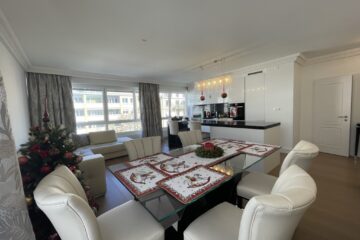 96a5147f81dc403ab0722e7c98c95015_1_105_c